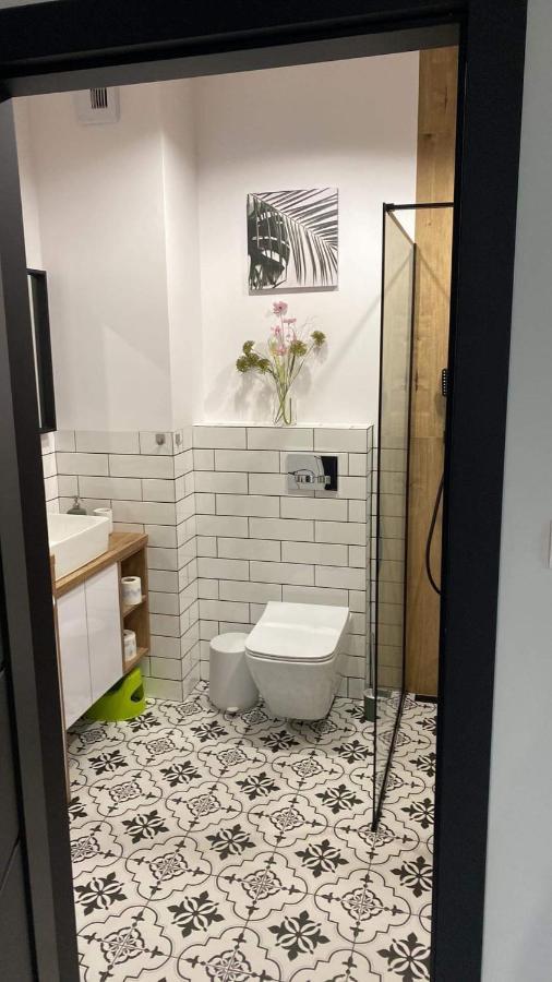 אילאווה Apartament Tomek מראה חיצוני תמונה